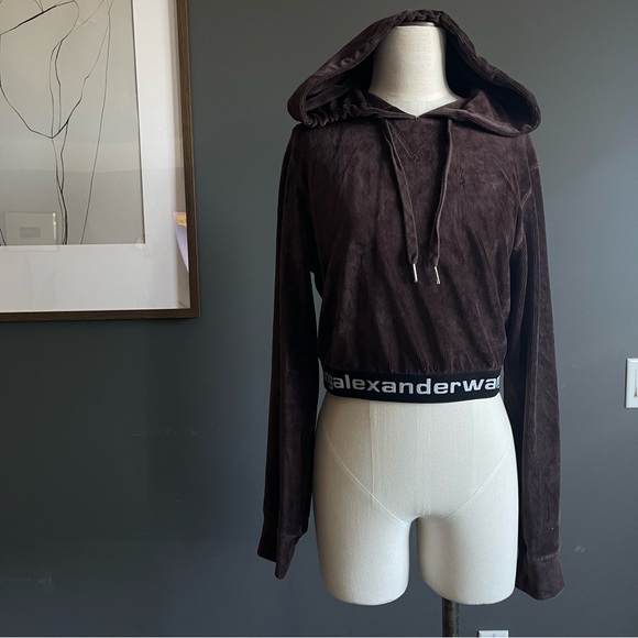 Jackets & Blazers - ALEXANDERWANG.T Stretch Corduroy Cropped Hoodie in Cola